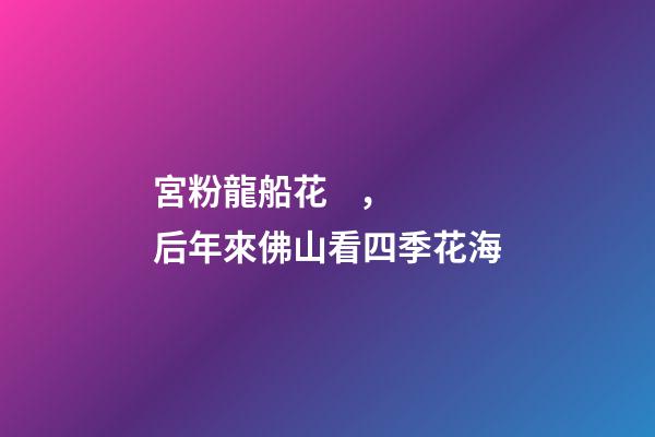 宮粉龍船花，后年來佛山看四季花海-第1張-觀點-玄機派
